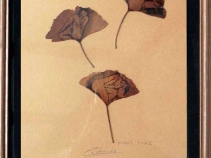 Raúl Cortés Castañeda